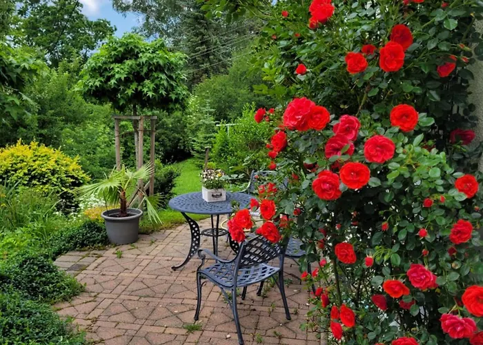 Stilvolle Vogelnest, Barrierefrei, Smart-tv, Parkplatz Apartment *